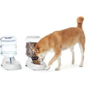 AmazonBasics Gravity Pet Food Feeder and Waterer