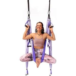 YOGABODY Inversion Swing Yoga Trapeze Pro, Purple