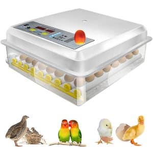 Hatching Egg Incubator 64 Eggs Digital Mini Automatic Incubators with Turner for Hatching Turkey Goose Quail Ducks Chicken Eggs,Built-in Egg Candler Tester