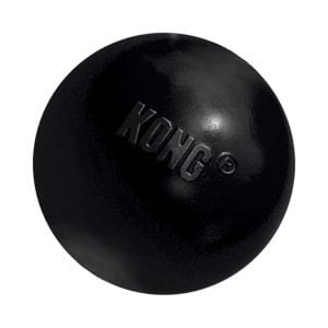 The KONG Extreme Toy Dog Ball