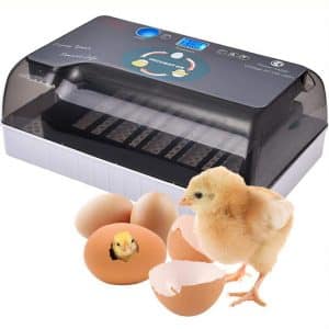 Egg Incubator Digital Fully Automatic Hatcher for 4-35 Eggs Duck Egg,Bird Egg,Turkey Egg Poultry Eggs Hatcher Auto-Turning Simulate the original hatching mode