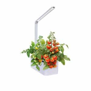 Mindful Design Hydroponic Indoor Herb Garden Kit