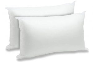 Foamily 2 Pack 12 x 20 Inches Premium Hypoallergenic Lumbar Pillow Inserts