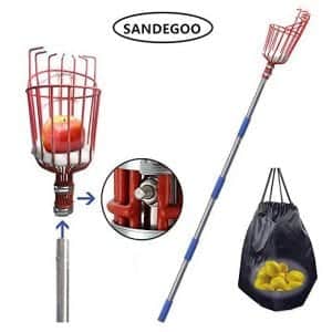 SANDEGOO-Fruit-Picker-with-a-Light-Weight-and-Telescoping-Pole