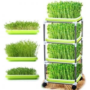 USDREAM 4-Tier Seed Sprouter Trays