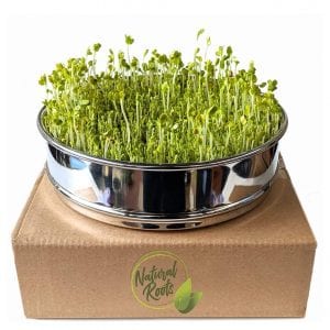 NATURAL ROOTS Seed Sprouter Tray